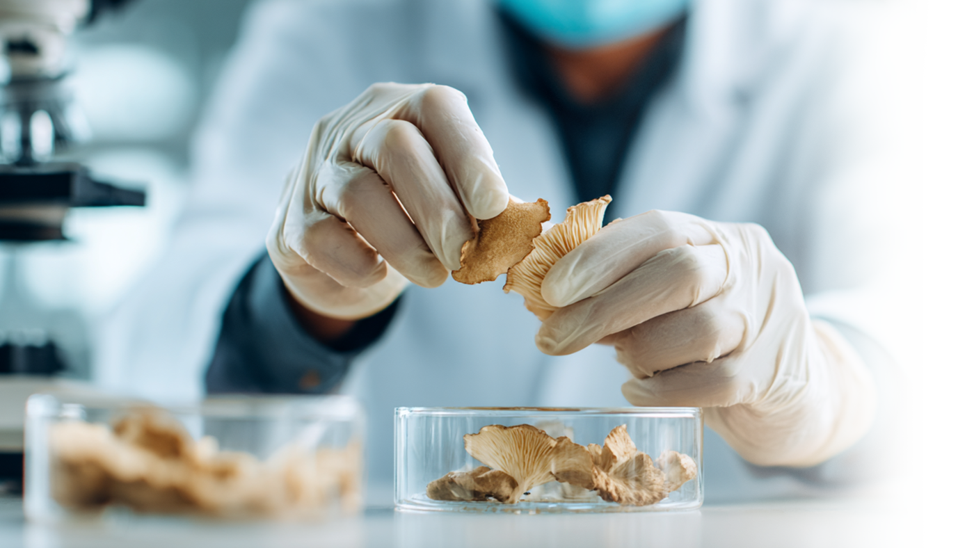 ActiveHerb Fully Tested Bulk Herbs Advantage